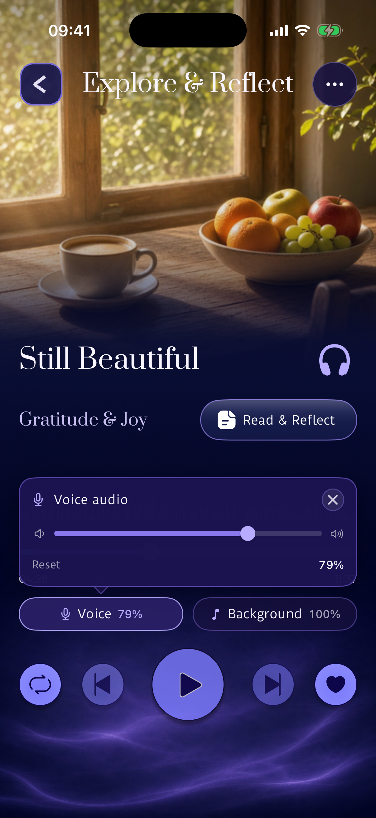 Voice Level